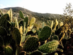Gümüşlük Karakaya Köyü