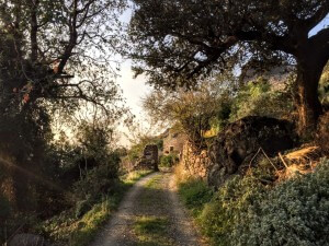 Gümüşlük Karakaya Köyü