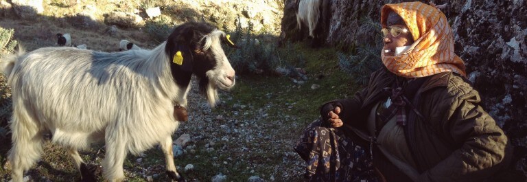 Muğla mı? Ne Muğla’sı?