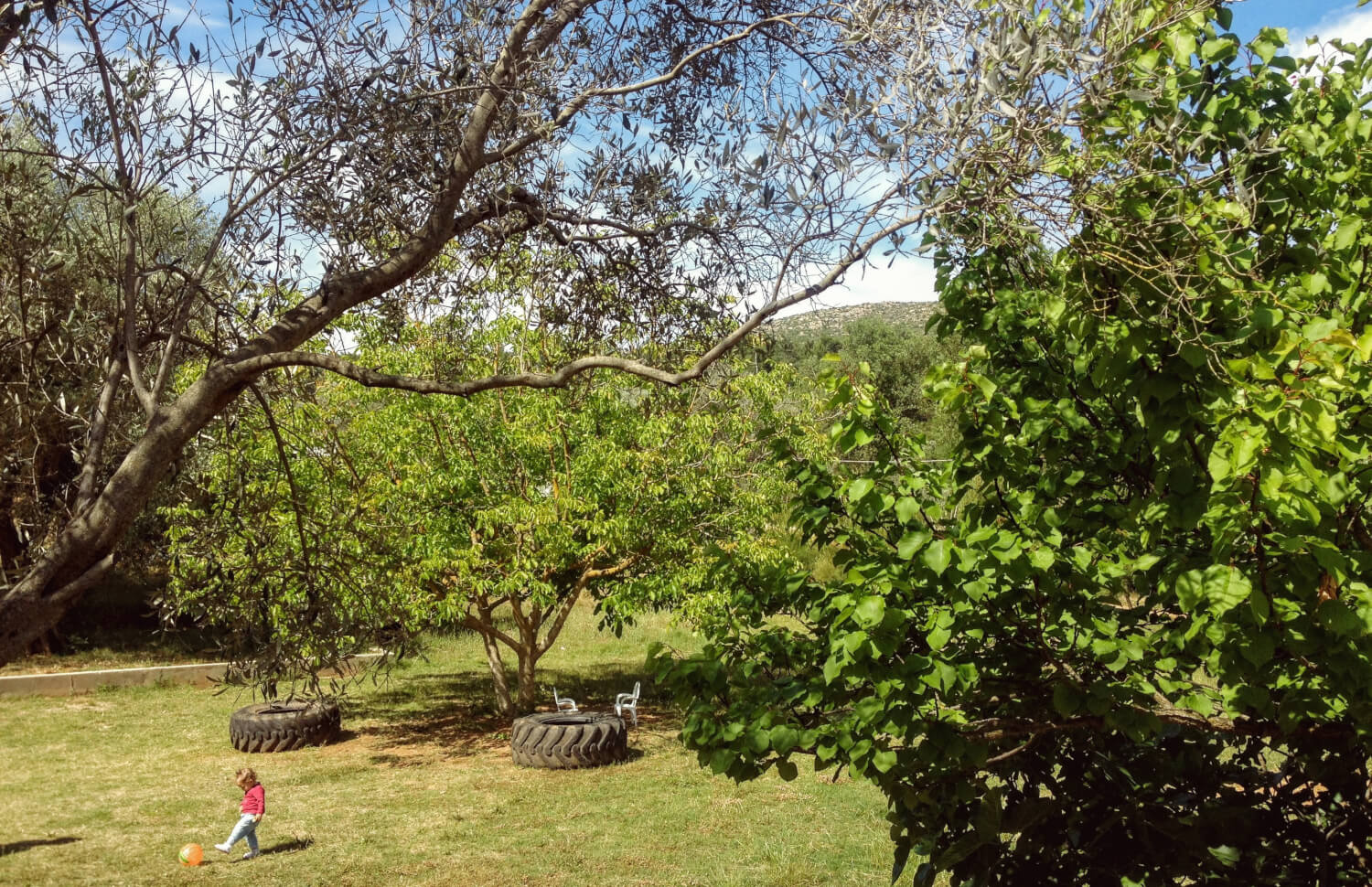 Bodrum Papara Koy Sofrasi