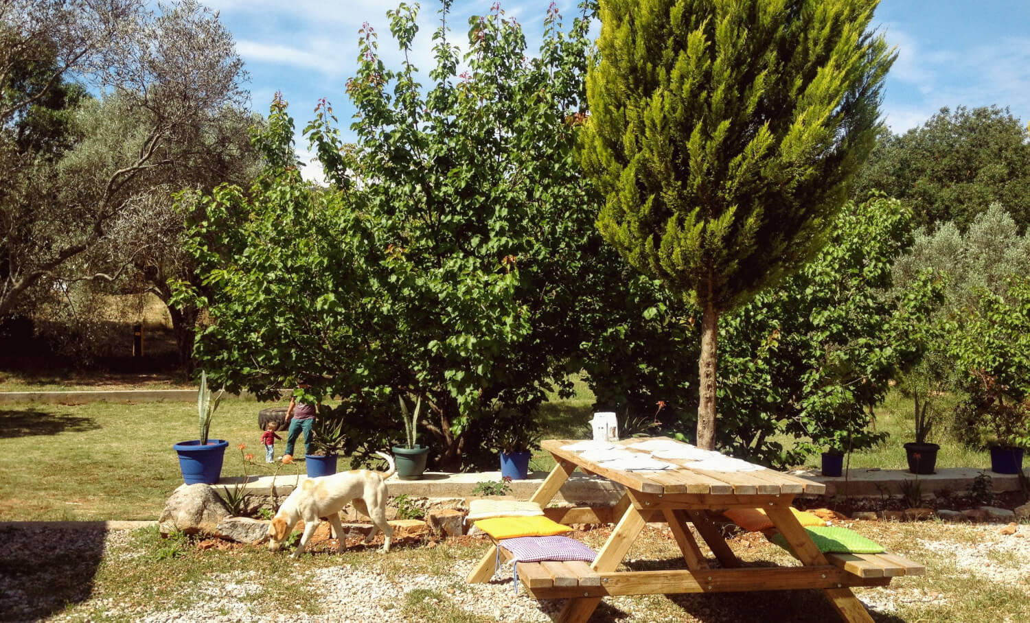 Papara, bayat ekmekten yapılan bir yemek çeşidiymiş; eski Bodrumlular ‘Ekmek kızartması’ da dermiş. :) 