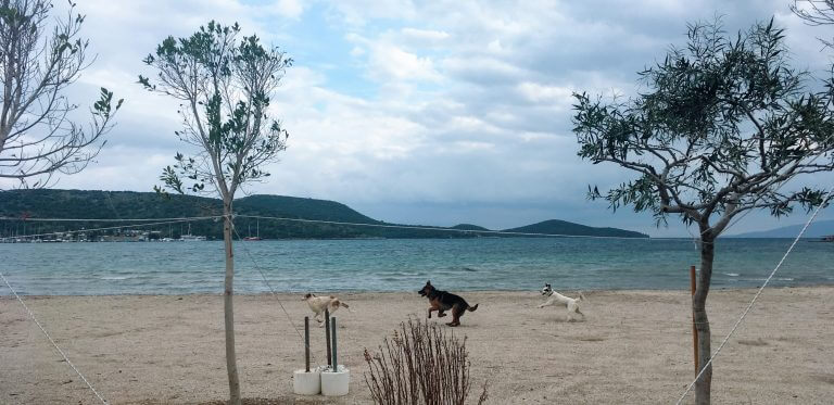 Huzur Bitez’de Dedirten Bol Manzaralı Bodrum Kışı Gıfleri
