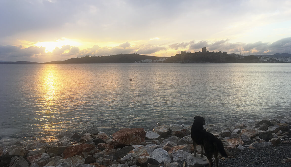 Bodrum’da Yaşamak