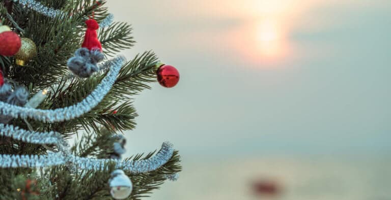 Bodrum Kışını Renklendirecek Şıkır Şıkır Aralık Etkinlikleri