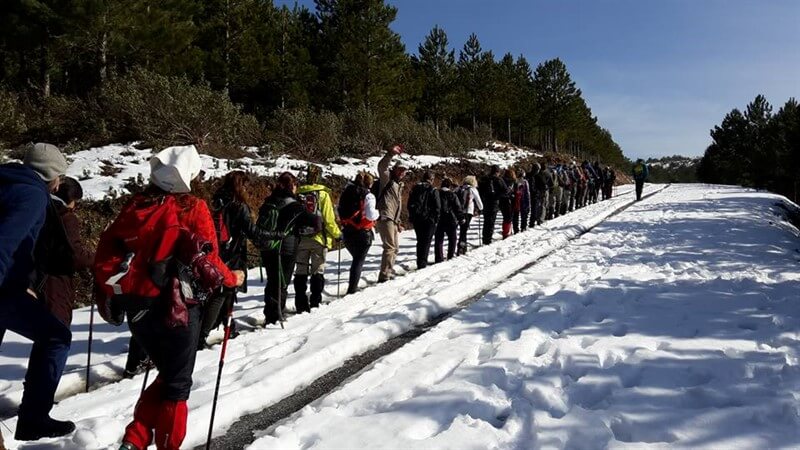 Muğla Göktepe