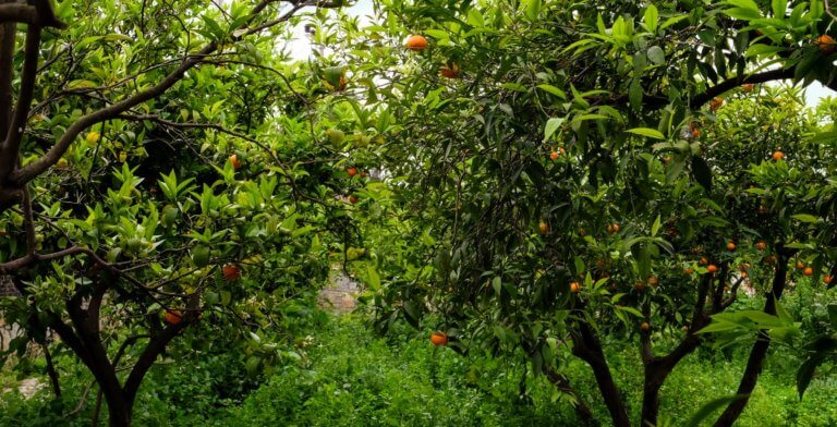 Bodrum’daki Üçüncü Evin Hikayesi
