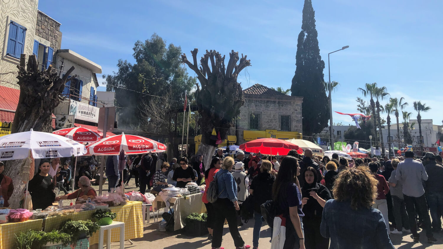 Bodrum Acı Ot Festivali