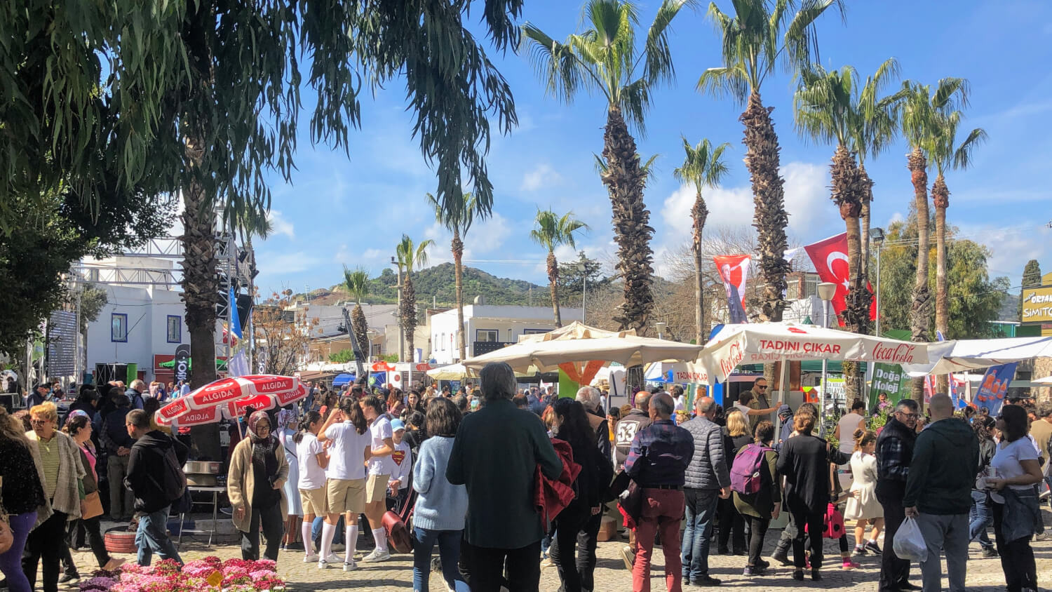 Bodrum Acı Ot Festivali