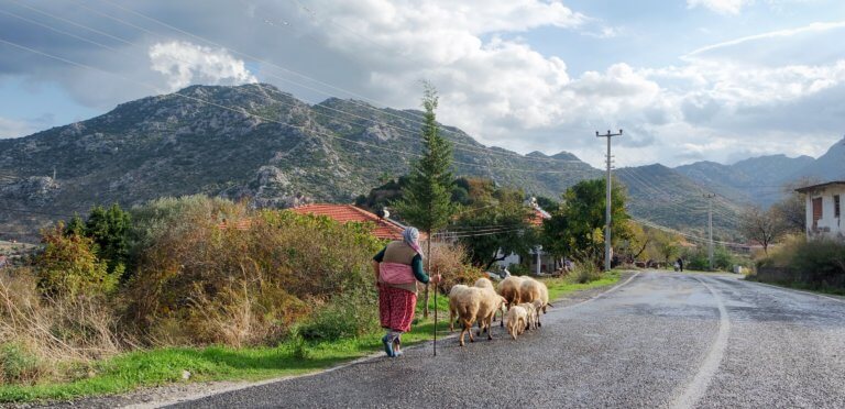 Peynire Yolculuk: Slow Cheese Bodrum 3. Uluslararası Peynir Festivali