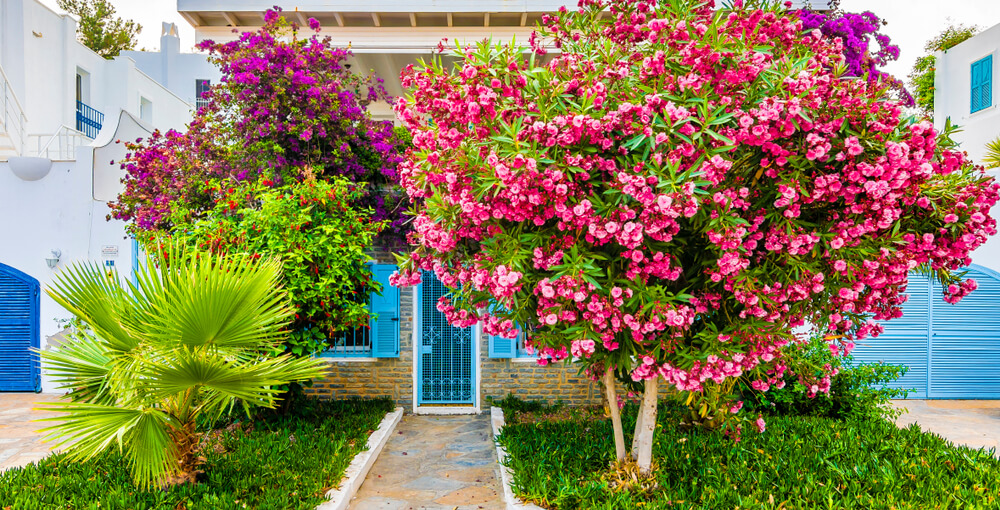  Bodrum'a Taşınmak