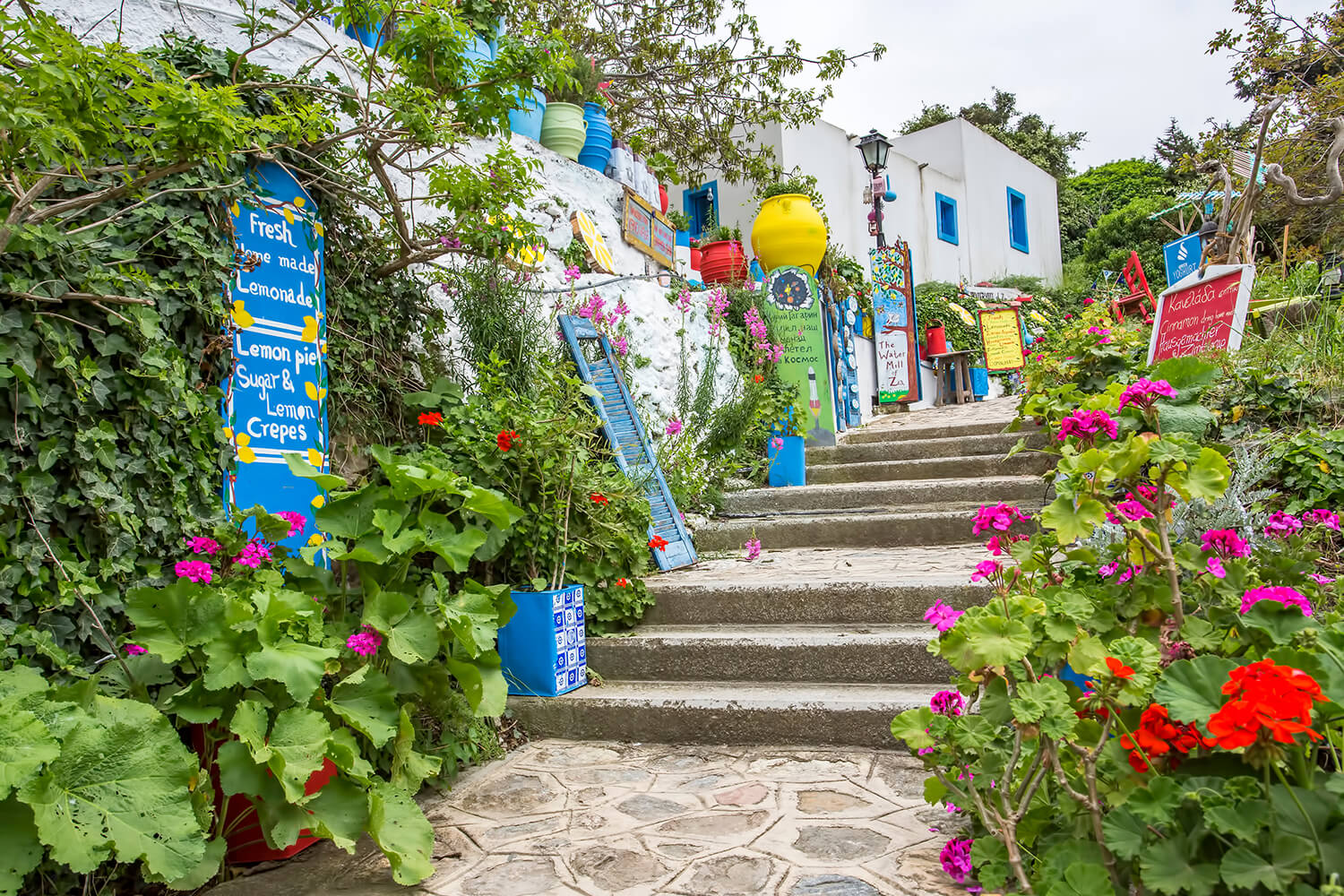 Kos Adası Zia