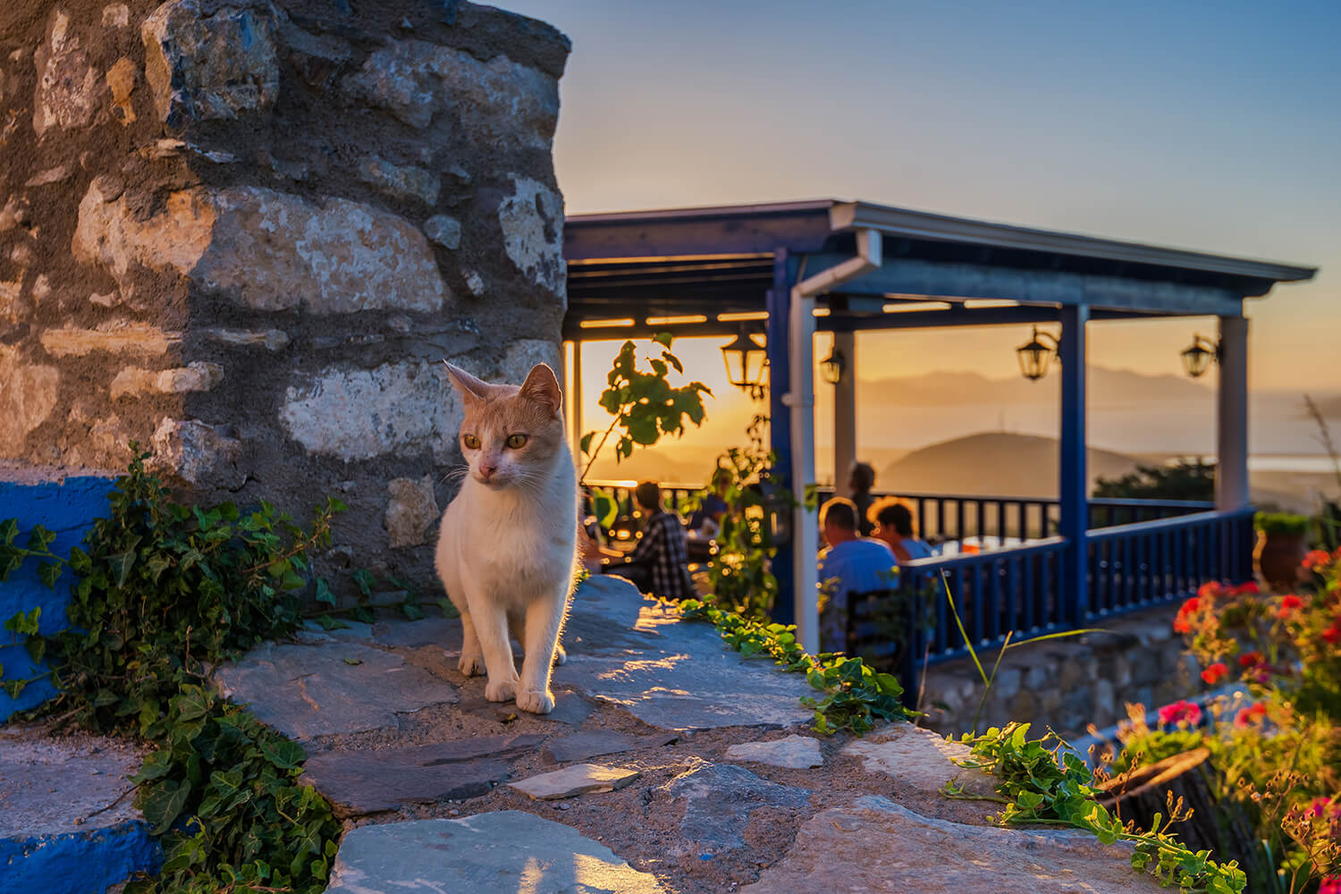 Kos Adası - Zia'da gün batımı