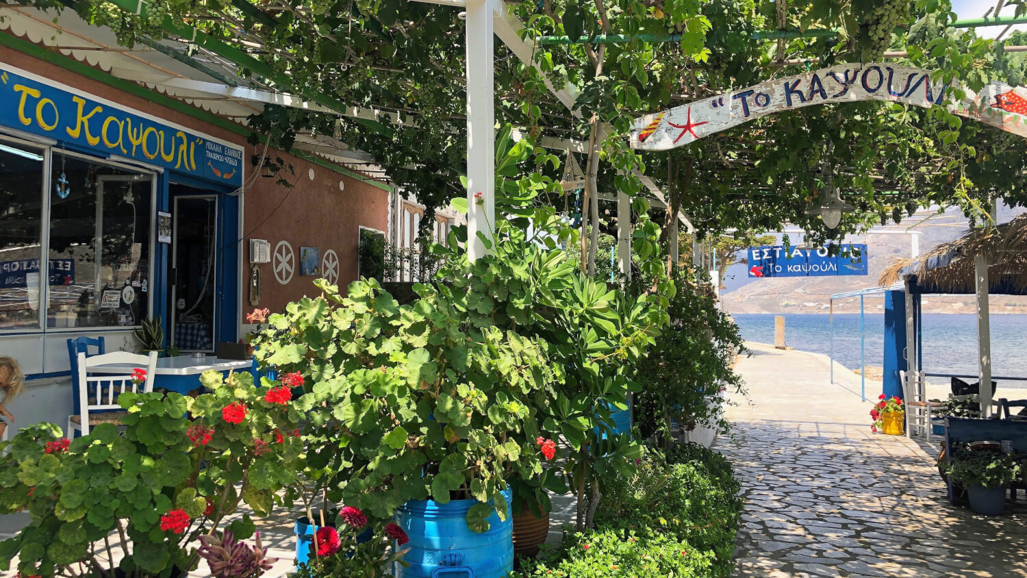 Kalimnos Telendos Taverna