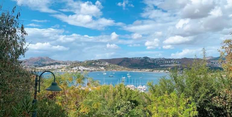 Pandemi Günlüğü: Bodrum’da Evde Geçen Bir Yazın Ardından…