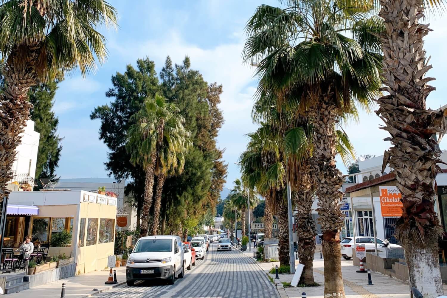 Bodrum Eskiçeşme Cafer Paşa Caddesi