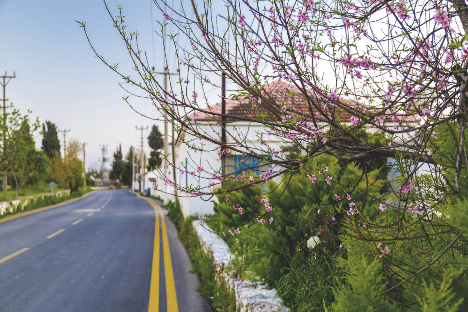 Bodrum Yaz-Kış Yaşam Bölgeleri