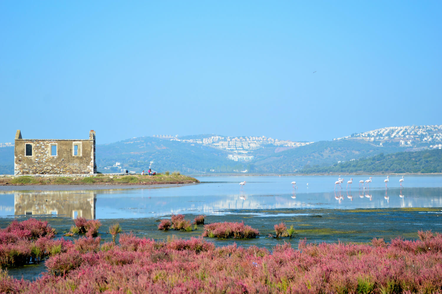 Bodrum Milas Boğaziçi Bargilya