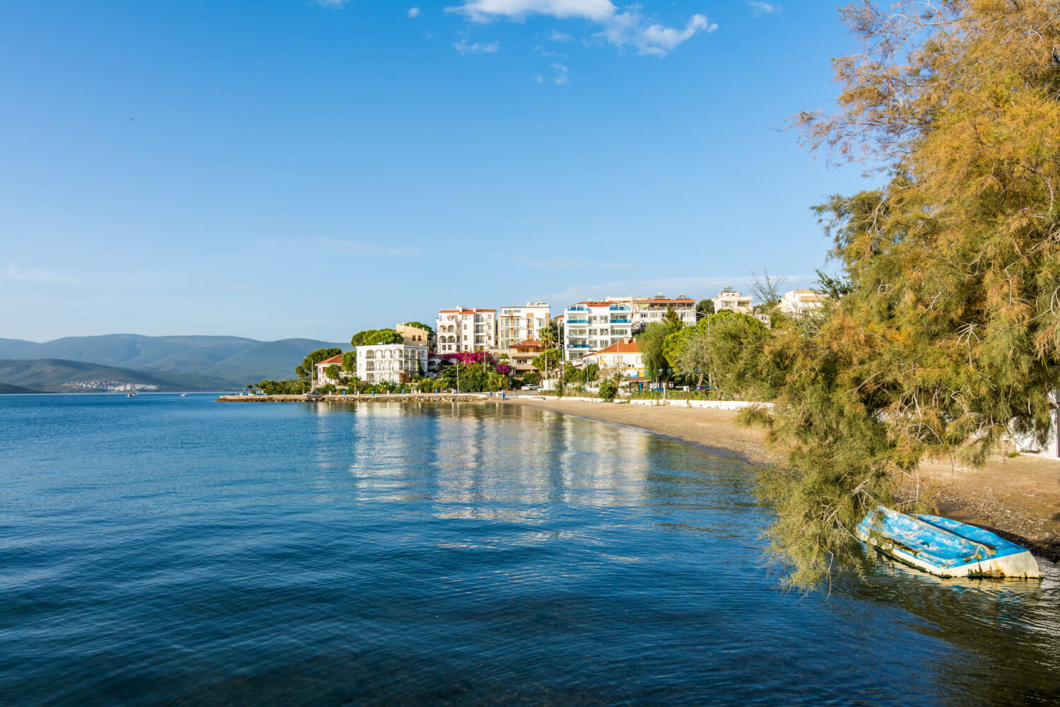 Bodrum Milas Güllük