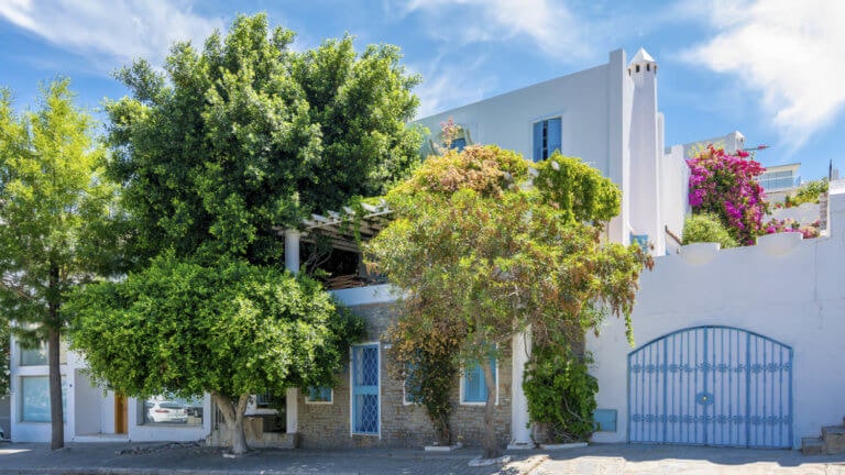 Pandemiden Bu Yana Bodrum Emlak Piyasası ve Perde Arkası