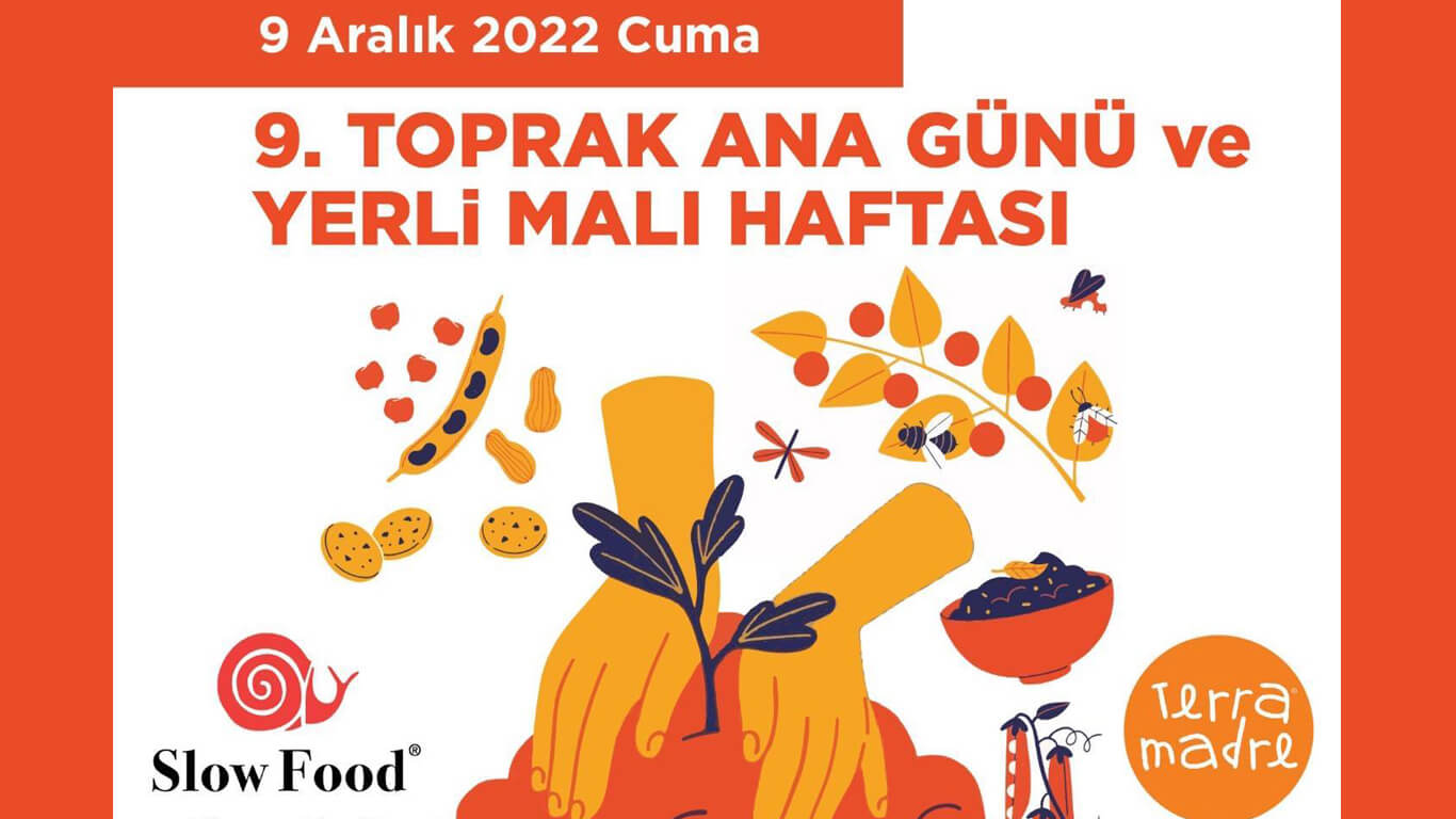 Bodrum Aralık Etkinlikleri 2022